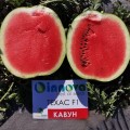 Техас F1 семян арбуза раннего (Innova Seeds)