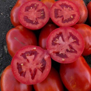9985 F1 насіння томату дететермінантного (Lark Seeds)