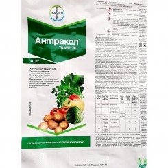 Фунгіцид Антракол 70 WP – Bayer