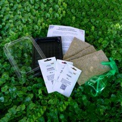 Ароматный (3 урожая) сет набор для выращивания микрозеленые (Agrocity) Ароматный (3 урожая) сет набор для выращивания микрозеленые (Agrocity)