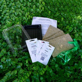 Ароматний (3 урожаї) сет набір для вирощування мікрозелені (Agrocity)