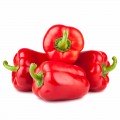 Асти Ред красный семена перца сладкого (Anseme)