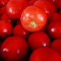 Бобкат F1 насіння помідора детермінантного (Syngenta)