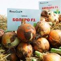 Болеро F1 насіння цибулі ріпчастої жовтої (Moravoseed)