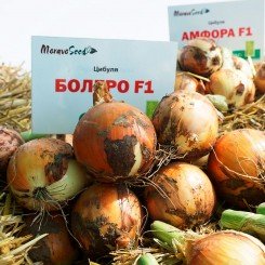 Болеро F1 насіння цибулі ріпчастої жовтої (Moravoseed)