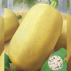 Болгарка семян тыквы (Seedera)