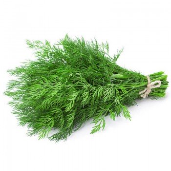 Брум семян укропа (Lark Seeds)