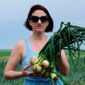 Чеармен F1 семена лука озимого репчатого (Hungnong)