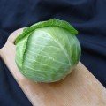 Чамп F1 насіння капусти білокачанної (Seminis)