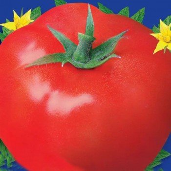 Красный гигант семена индетерминантного томата (GL Seeds)