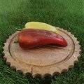 Дует F1 насіння перцю (ZKI)