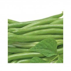 Джина насіння квасолі спаржевої (May Seeds)