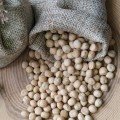 Горох семян микрозеленый (Agrocity)