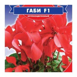 Габи F1 персидский мини семена цикламена (GL Seeds)