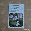 Гаваї білий (white) насіння платикодона (Hem Zaden)