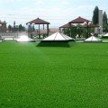 Ліліпут Greenfield насіння газонної трави (Feldsaaten Freudenberger GmbH)