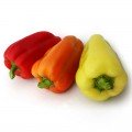 Яніка F1 насіння перцю солодкого (Kitano Seeds)
