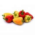 Яніка F1 насіння перцю солодкого (Kitano Seeds)