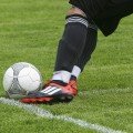 Гра + Спорт Greenline Universal насіння газонної трави (Feldsaaten Freudenberger GmbH)