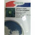Конкістадор F1 насіння капусти білокачанної (Sakata)