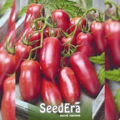 Корейский длинноплодный семена помидора индетерминантного (Seedera)