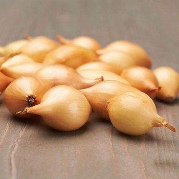 Крусадо (10-21 мм) сіянка цибулі (TOP Onion Sets)