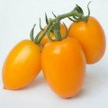 Бенигара F1 (КС 1430 F1) семена помидора индетерминантного (Kitano Seeds)