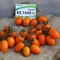 Бенигара F1 (КС 1430 F1) семена помидора индетерминантного (Kitano Seeds)