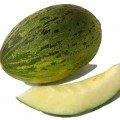 КС 775 F1 насіння дині (Kitano Seeds)