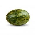 КС 775 F1 насіння дині (Kitano Seeds)