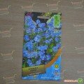 Незабудка лісова блакитна насіння (Moravoseed)