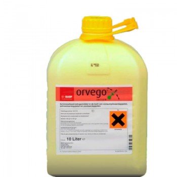 Фунгицид Орвего – BASF