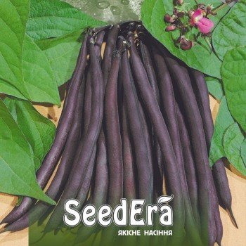 Парпл Типове насіння квасолі спаржевої (Seedera)