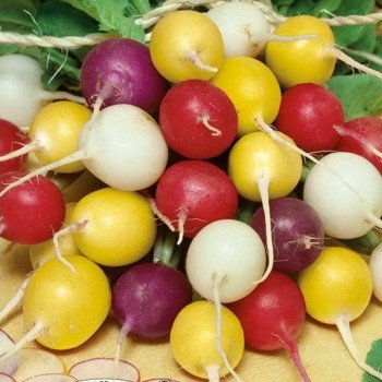Пасхальные яйца семена редис смесь сортов (Гелиос)
