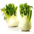 Прелюдіо Organic насіння фенхелю (Enza Zaden/Vitalis)