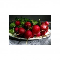 Родос семян редиса (Satimex)