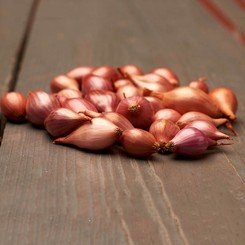 Росана (10-21 мм) сіянка цибулі (TOP Onion Sets
