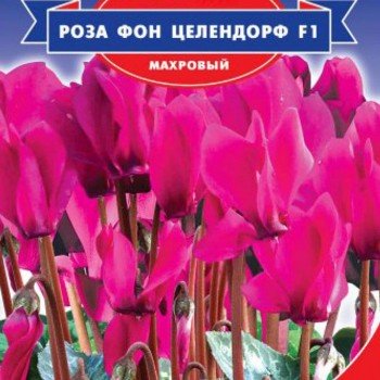 Роза фон Целендорф F1 насіння цикламена махрового (GL Seeds)