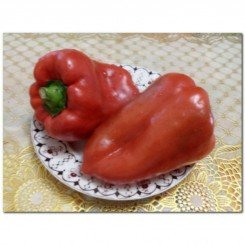 Рыночные семена перца сладкого (GL Seeds)
