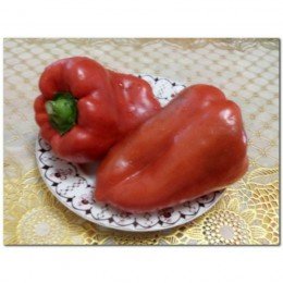 Рыночные семена перца сладкого (GL Seeds)