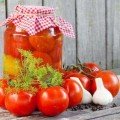 Санька насіння помідора детермінантного (Геліос)