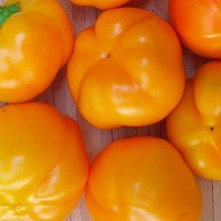 Божья коровка оранжевые семена перца сладкого (Гелиос)