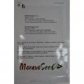Горнет F1 (Старт F1) семена капусты белокочанной (Moravoseed)