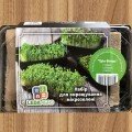 Тріо Фітнес набір для вирощування мікрозелені (World of Seeds)