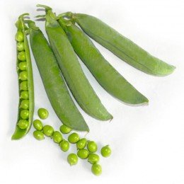 Вондер насіння гороху (Lark Seeds)