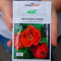 Абутилон смесь (mix) семян (комнатный клен, канатник) (Hem Zaden)