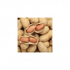 Арахис испанский 344 семян (GL Seeds) Арахис испанский 344 семян (GL Seeds)