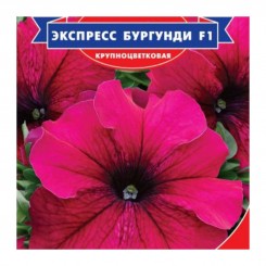 Экспресс Бургунди F1 семена петунии (GL Seeds)