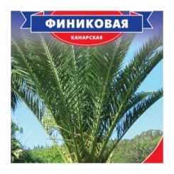 Финиковые семена пальмы (Seedera)
