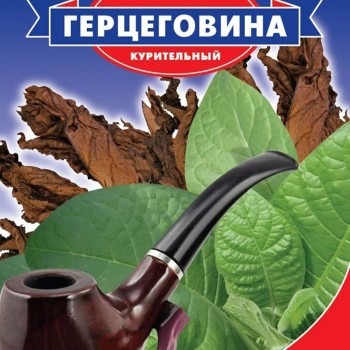 Герцеговина семян табака курительного (GL Seeds)